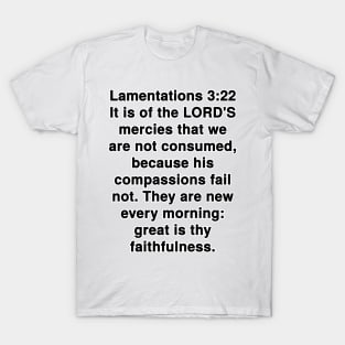 Lamentations 3:22 King James Version Bible Verse Typography T-Shirt